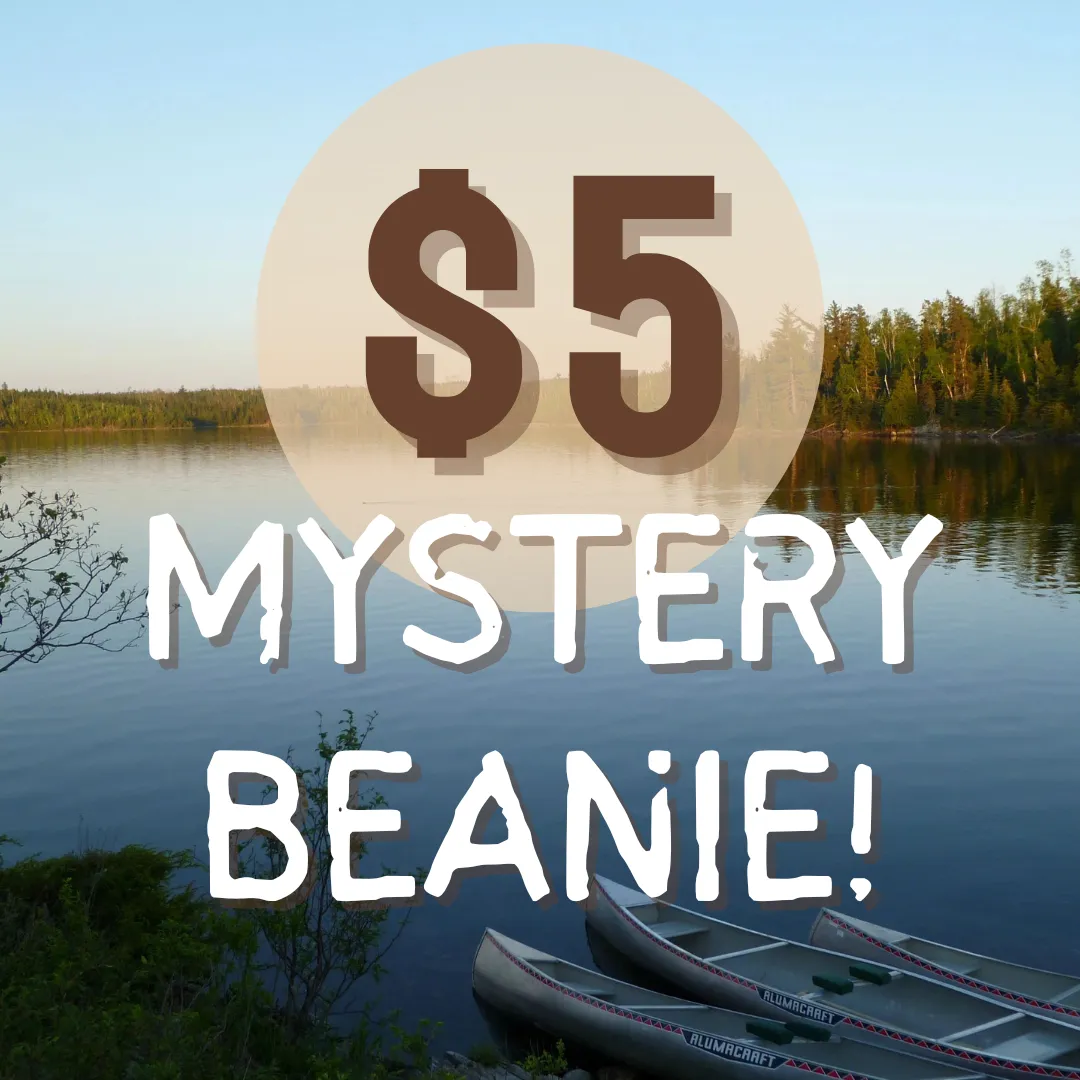 $5 Mystery Beanie