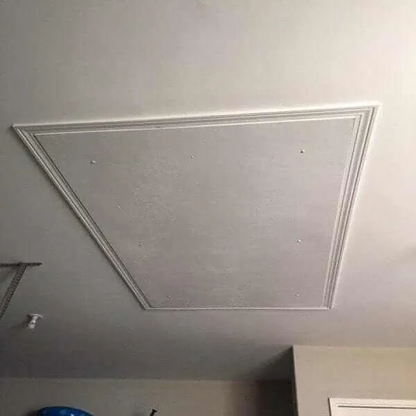 Aladdin Storage Lift (ASL-500) Garage Attic Elevator