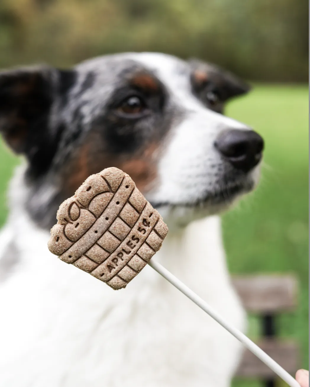 Apple Picking Basket Cookie Cutter
