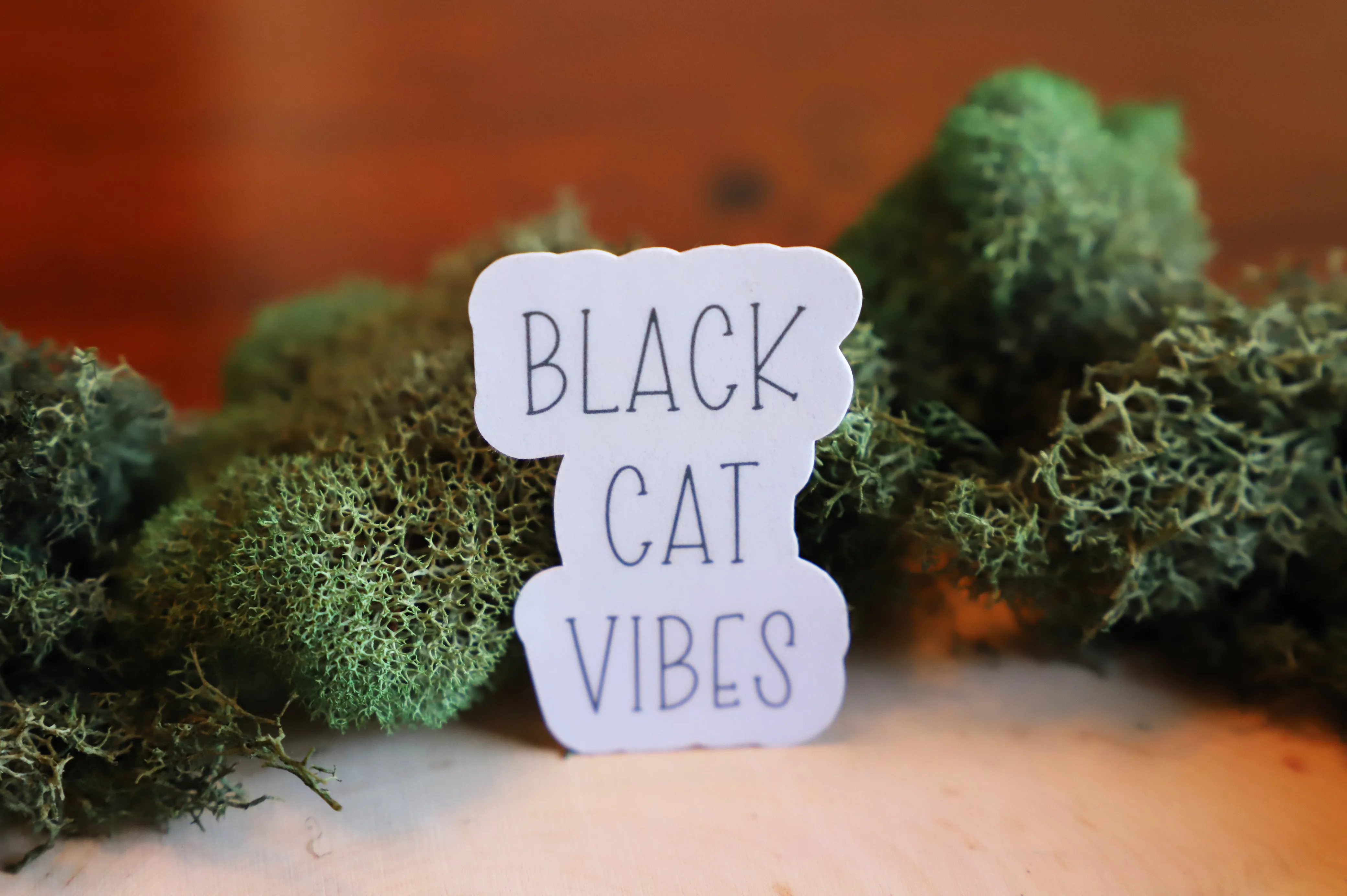 Black Cat Vibes sticker pack | 8pk