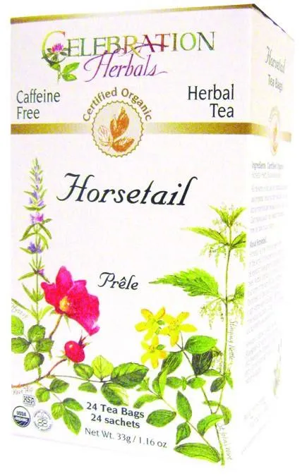Celebration Herbals Horsetail 24 Tea Bags