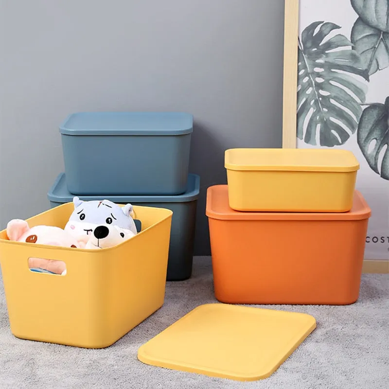 Colourful Household Organizing Storage Box