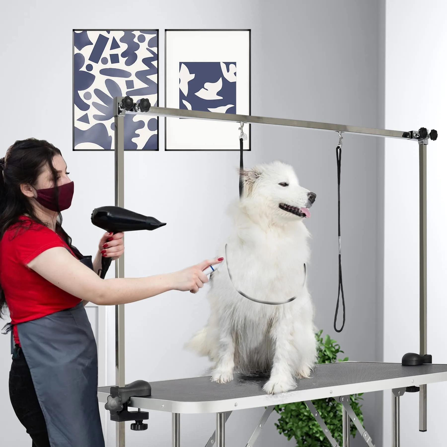 Dog Grooming Table for Medium Large Pet