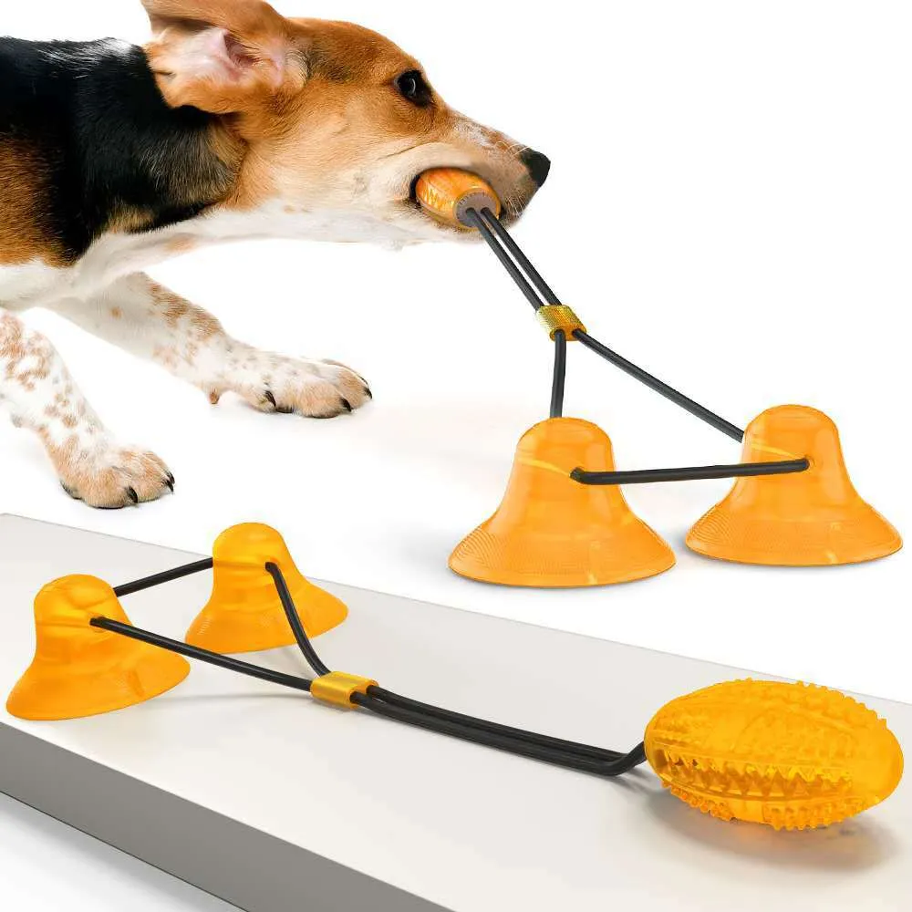 Feeder Ball Toy