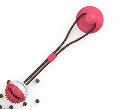 Feeder Ball Toy