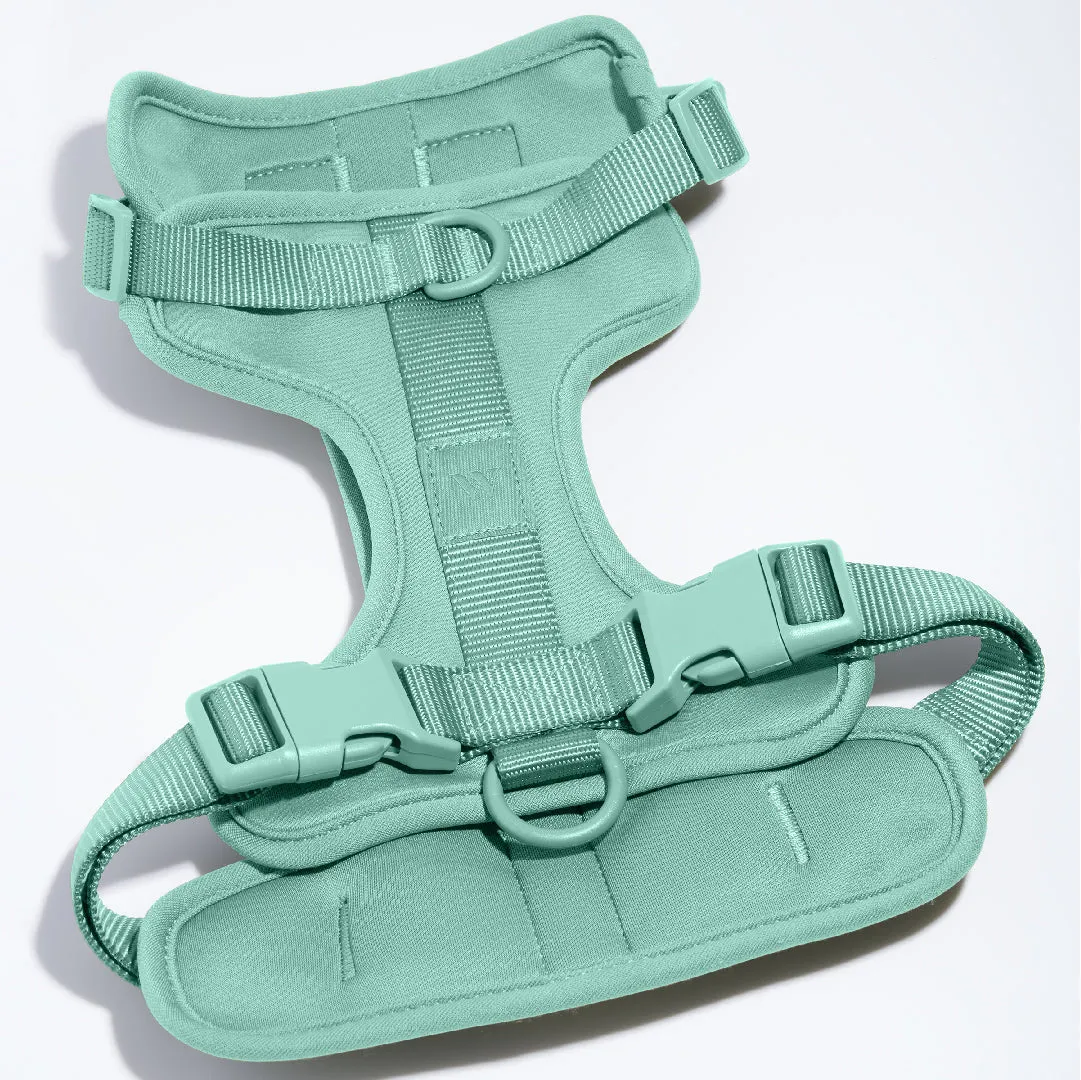 Harness Walk Kit in Seafoam<br><span style="color: #D47E26;">LATEST COLOR</span>