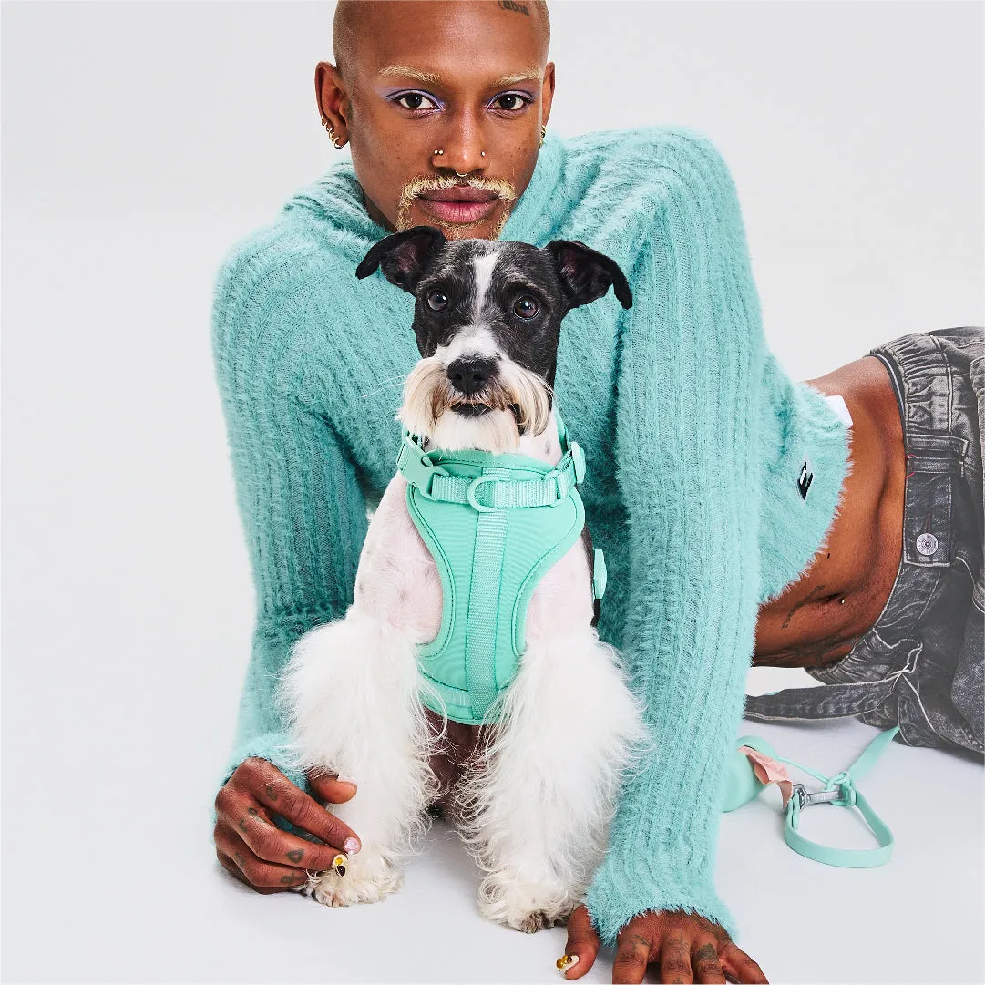 Harness Walk Kit in Seafoam<br><span style="color: #D47E26;">LATEST COLOR</span>