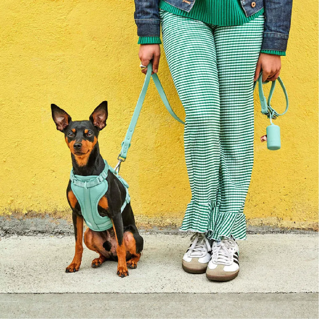 Harness Walk Kit in Seafoam<br><span style="color: #D47E26;">LATEST COLOR</span>