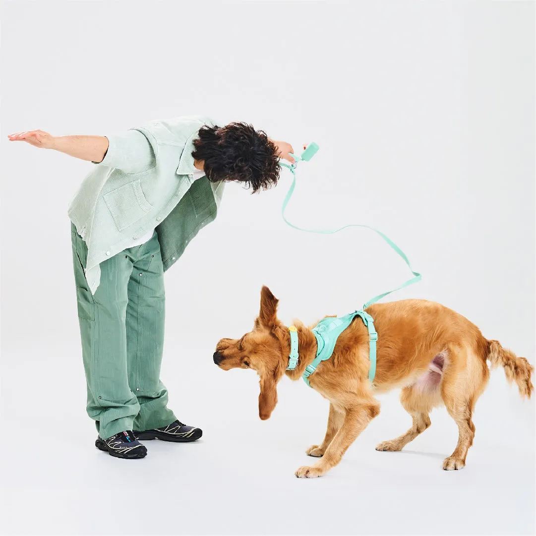 Harness Walk Kit in Seafoam<br><span style="color: #D47E26;">LATEST COLOR</span>