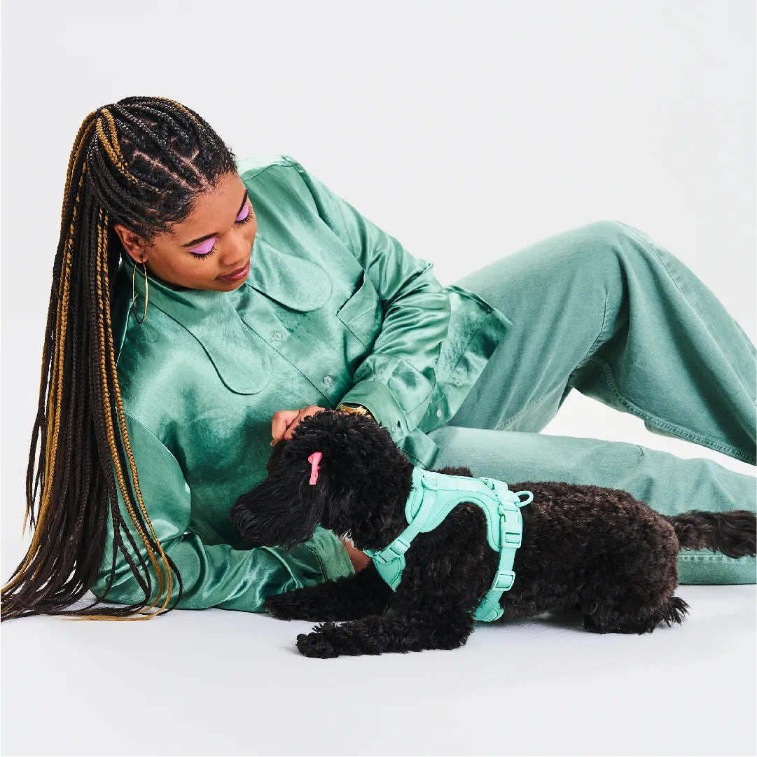 Harness Walk Kit in Seafoam<br><span style="color: #D47E26;">LATEST COLOR</span>