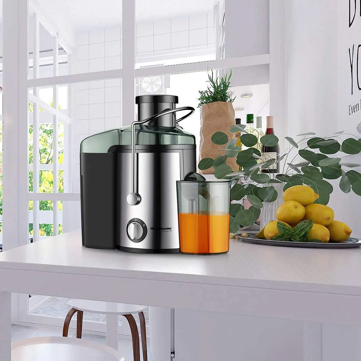 Homeleader Stainless Steel Juicer