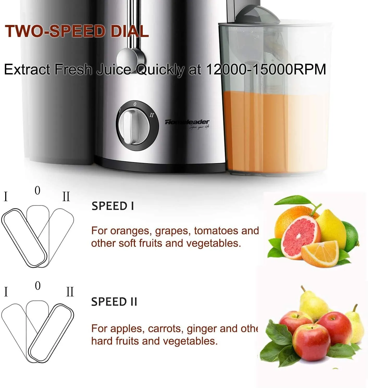Homeleader Stainless Steel Juicer