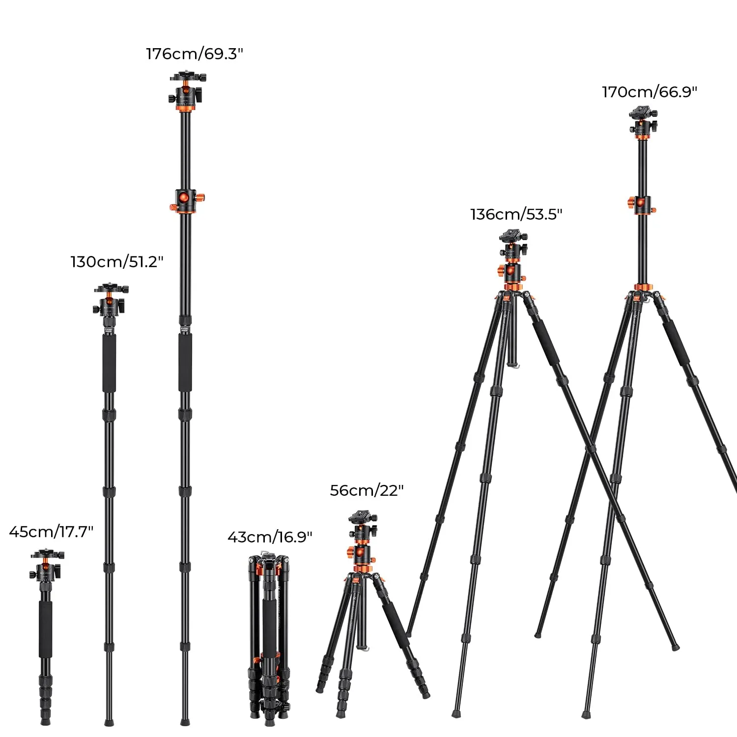 K&F Concept 67 inch Camera Tripod Horizontal Aluminum Tripods Portable Monopod with 360 Degree Ball Head Quick Release Plate for DSLR Cameras T255A4 BH-28L (TM2515T1)