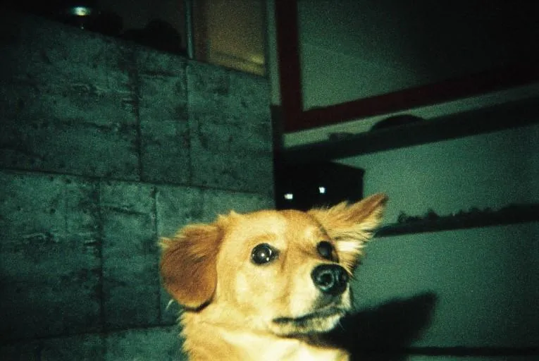 Lomography Konstruktor F - 35mm Film Camera