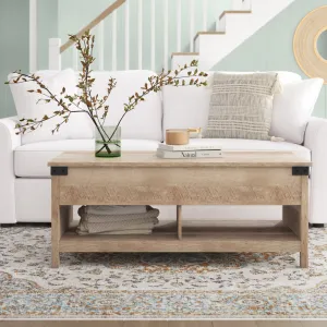 Magdalene Lift Top Coffee Table with Storage Beachcrest Home™