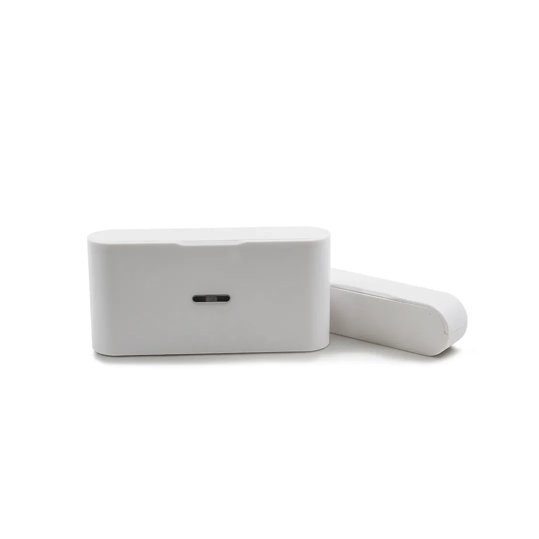Magnetic Door Switch