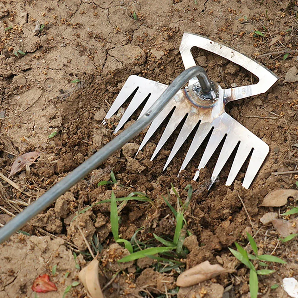 Multifunctional weeding  Tool