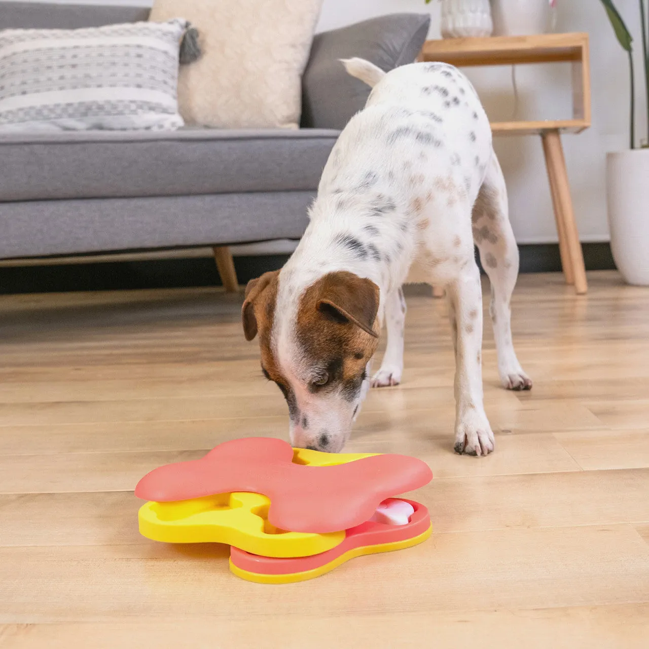 Outward Hound Nina Ottosson Mini Dog Tornado Puzzle