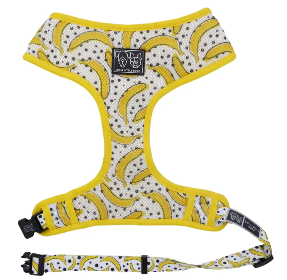 "Going Bananas" Classic Harness