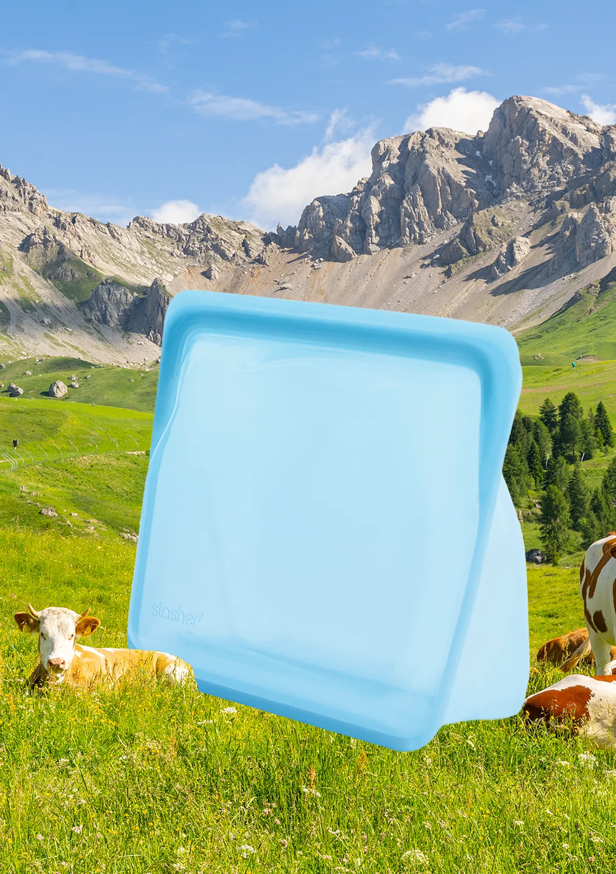 Reusable Blue Stand-Up Mid Bag | Stasher