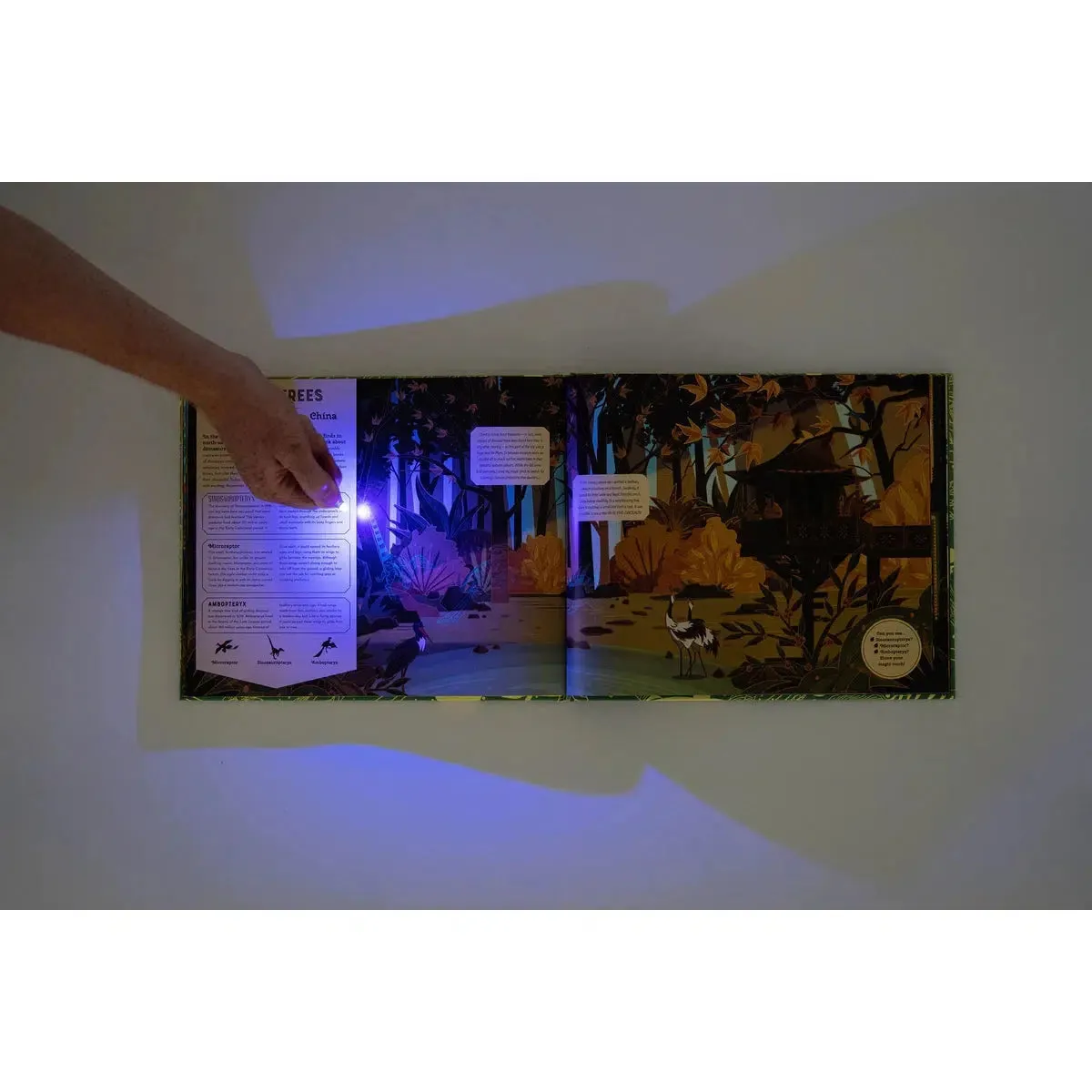 Shine Your Magic Torch: Dinosaurs and Prehistoric Beasts - Emily Hawkins