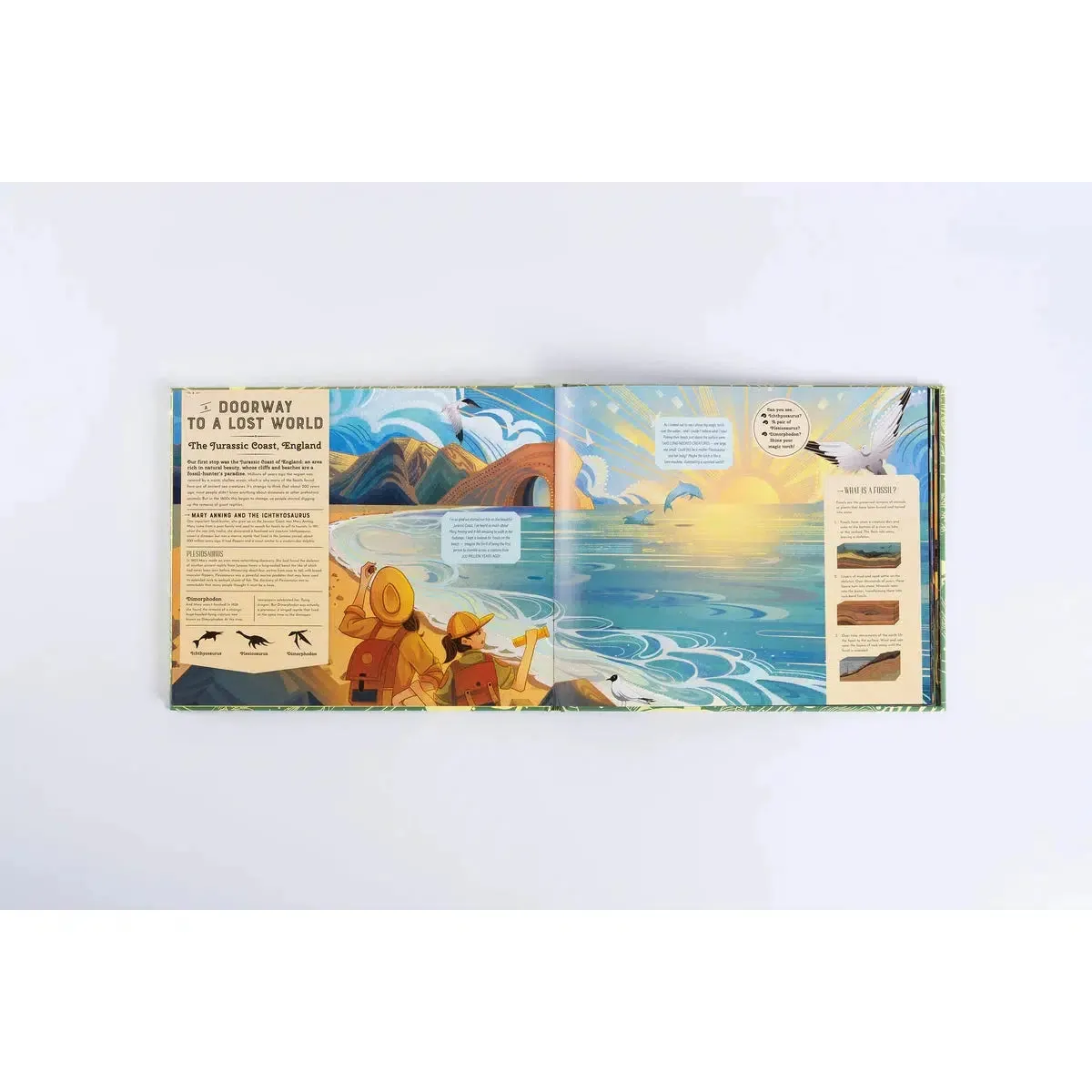 Shine Your Magic Torch: Dinosaurs and Prehistoric Beasts - Emily Hawkins