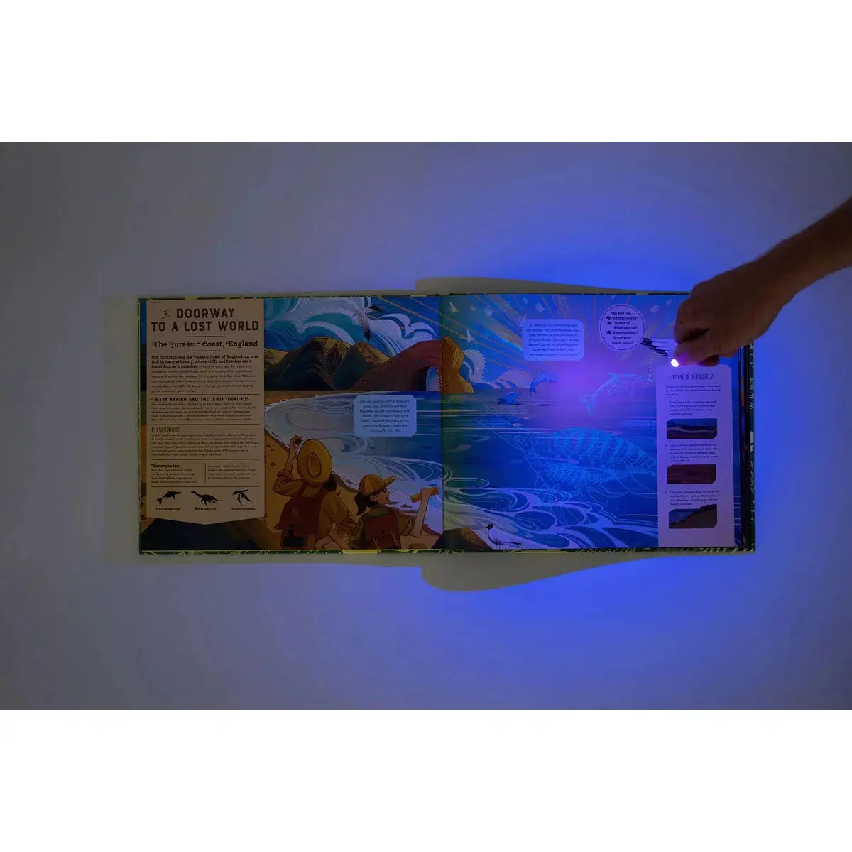 Shine Your Magic Torch: Dinosaurs and Prehistoric Beasts - Emily Hawkins
