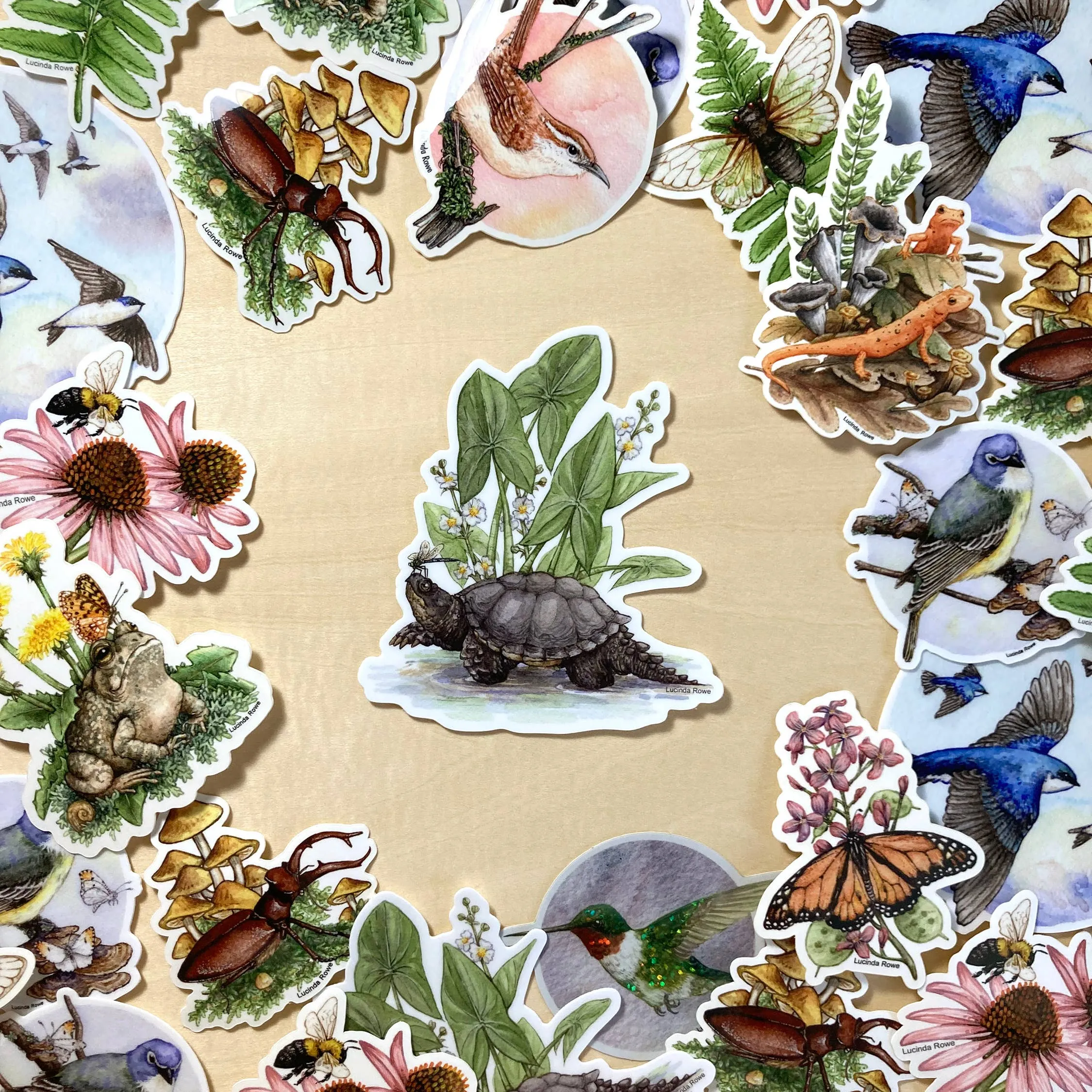 Snapping Turtle with Common Arrowhead and Dragonfly - Vinyl Sticker