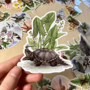 Snapping Turtle with Common Arrowhead and Dragonfly - Vinyl Sticker