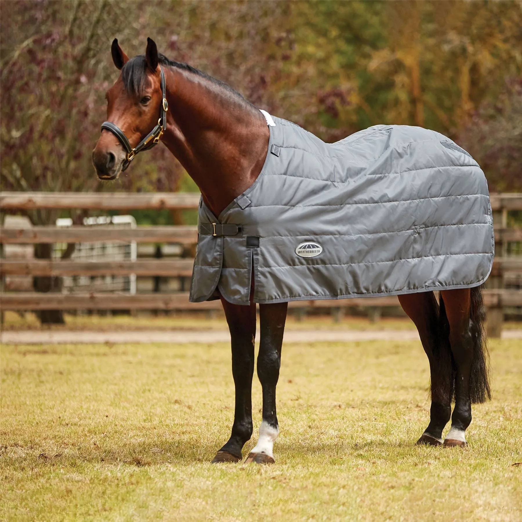 Weatherbeeta Comfitec Liner Medium/Lite